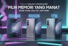 Tanpa Slot Memori Eksternal: Simak Panduan Pilih Kapasitas 256GB, 512GB, atau 1TB Samsung Galaxy Z Fold8 Ultra