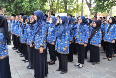 Jelang Pelantikan Ratusan PPPK Paruh Waktu Mengundurkan Diri, Ternyata Ini Alasannya