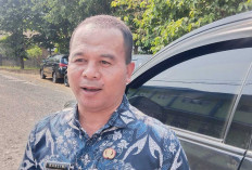 34 Kejadian Kebakaran Lahan Selama Sebulan Terakhir: Ini Skenario Darurat Disdikbud Lahat