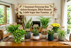 Jangan Pakai Bahan Kimia! 7 Tanaman Hias Ini Ampuh Usir Bau Tak Sedap dan Segarkan Udara Rumah