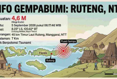 Bukan Sekali, Ruteng NTT Diguncang Gempa Berkali-kali Pagi Ini, Terkuat M4,6