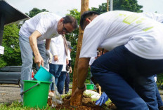 Aksi Nyata! 4.920 Pohon Ditanam di Bandara SMB II Palembang, Komitmen Lingkungan Injourney Airports