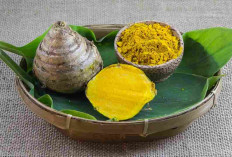 Rahasia Sehat Alami! 7 Manfaat Temulawak yang Sering Dianggap Sepele