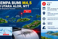 Gempa Magnitudo 4,5 Guncang Alor Pagi Ini, BMKG: Kedalamannya 586 Km!