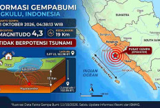 Gempa M 4,3 Terjadi di Bengkulu Minggu Pagi, Cek Titik Episentrum dan Kedalamannya