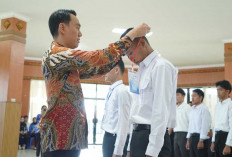 Kesempatan Emas! Pemkab OKI Buka Pelatihan Otomotif dan Bahasa Jepang, Gratis untuk Gen Z?