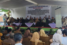 Gaharu Dorong Hasil Perikanan Lahat Masuk Program MBG: Peluang Baru Bagi Ekonomi Rakyat