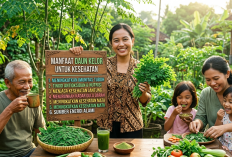 Jangan Remehkan Daun Kelor! Ini 8 Manfaatnya yang Jarang Diketahui Banyak Orang