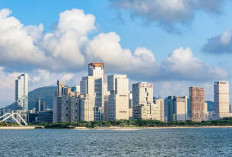 5 Tahun Qianhai Shenzhen Meledak Dahsyat, Ekonomi Naik 2x Lipat dan Jadi Hub AI Super Gokil!