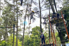 Anak Kecanduan Gadget? Ajak ke Punti Kayu, Belajar Alam dengan Cara Seru!