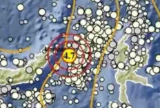 Gempa Bumi Magnitudo 4,7 Siang Ini Guncang Bitung pada Kedalaman 43 Km, Tak Berpotensi Tsunami