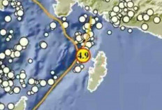 Gempa 4,9 Magnitudo Pagi Ini Guncang Kepulauan Aru, Tak Berpotensi Tsunami