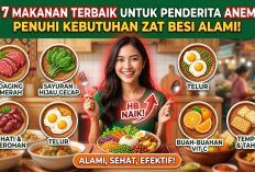 Bantu Penuhi Asupan Zat Besi, Ini 7 Makanan yang Baik Dikonsumsi Penderita Anemia
