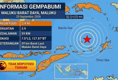 Gempa Guncang Indonesia Minggu Pagi, M3,9 Terdeteksi di Maluku Barat Daya