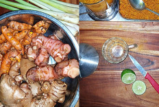 4 Jenis Tanaman Ini Berkhasiat untuk Kesehatan