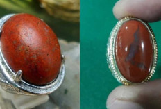 TERKUAK AURA GAIB! Batu Akik Ati Ayam Konon Punya Kekuatan Tolak Bala dan Penarik Keberuntungan