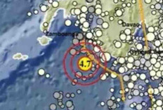 Gempa Magnitudo 4,7 Guncang Tahuna Sulut pada Kedalaman 10 Km, Tak Berpotensi Tsunami
