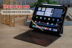 Pilihan Sang Kreator Konten, IPad Pro M4 Punya Spek Gahar, Intip Apa Saja Dimiliknya? 