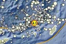 Gempa Magnitudo 4,1 Guncang Maluku Tenggara Barat Pagi Ini, Tak Berpotensi Tsunami