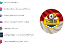 Mengenal Julukan 7 Klub Korea V-League, Klub Megawati Hangestri Punya Filosofi Mewah