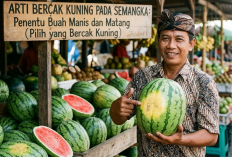 Tips Jitu Pilih Semangka Manis: Wajib Tahu Rahasia Bercak Kuning di Bagian Bawah Buah Sebelum Membeli