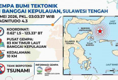 Gempa Magnitudo 4,3 Guncang Banggai Kepulauan Pagi Ini, Tak Berpotensi Tsunami