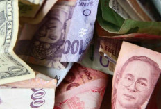 Update Kurs Mata Uang Asing Terbaru untuk Pelunasan Pajak, Berlaku hingga 20 Januari 2026