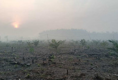 Kabut Asap Pekat Kepung PALI, Petani Karet Terpaksa Setop Menyadap