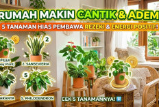 Rumah Makin Cantik dan Adem! Ini 5 Tanaman Hias yang Dipercaya Bawa Energi Positif serta Datangkan Rezeki