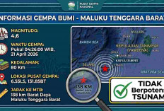 Deretan Gempa Guncang Indonesia Dini Hari, Maluku Tenggara Barat Paling Kuat