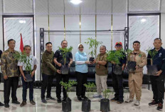 Jaga Inflasi, Dinas Ketapang PALI Luncurkan Gerakan Tanam Cabai Serentak 