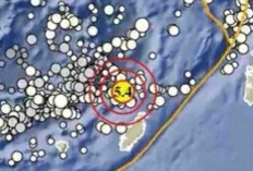 Gempa Magnitudo 5,4 Guncang Tanimbar pada Kedalaman 103 Km, Tak Berpotensi Tsunami