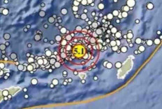 Gempa Magnitudo 5,1 Guncang Tanimbar Pagi Ini pada Kedalaman 174 Km, Tak Berpotensi Tsunami