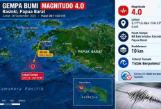 Gempa Magnitudo 4,0 Guncang Papua Barat Pagi Ini, BMKG: Tak Berpotensi Tsunami