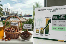  Devisa Ekspor Sawit Aceh Melonjak 445 Persen, Tembus Rp360 Miliar