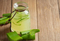  Rahasia Kulit Glowing dan Rambut Kuat: Optimalkan 'Tanaman Keabadian' Ini Sebagai Skincare Alami