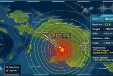 Gempa Magnitudo 5,2 Pagi Ini Guncang Boven Digoel, Tak Berpotensi Tsunami