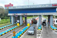 Diskon 20% di 7 Ruas Tol Trans Sumatera Selama Nataru 2025/2026, Cek Jadwal Berlaku!