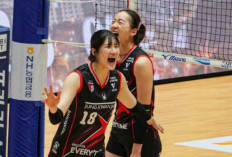 KOVO Cup 2026: Red Sparks Bangkit! Zhong Hui Menggila, SOOP Superers Dihajar 3-0