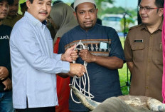 Pemkab Muba Salurkan Puluhan Hewan Kurban untuk Masjid, Ponpes hingga Disabilitas