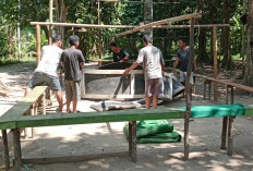 Nekat Buka Gelanggang Judi, Aparat dan Warga Kompak Ratakan Fasilitas Sabung Ayam di Ogan Ilir