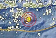Deretan Gempa Guncang Indonesia Pagi Ini, Terkuat 4,2 Magnitudo di NTT