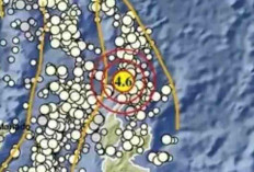 Sejumlah Daerah Diguncang Gempa Dini Hari, Terbesar M 4,6 di Maluku Utara