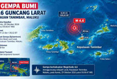Gempa Magnitudo 6,4 Guncang Maluku Pagi Ini! Cek Lokasi Episentrum dan Kedalamannya