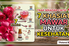 Tak Sekadar Lambang Cinta, Ini 7 Khasiat Bunga Mawar yang Ternyata Punya Potensi Baik untuk Kesehatan Tubuh 