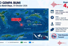 Gempa Magnitudo 4,2 Guncang Maluku Barat Daya Dini Hari, BMKG: Tak Berpotensi Tsunami