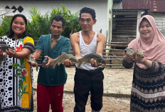 Tepat Sasaran! Begini Cara Kades Dina Julianti Kelola Dana Desa Lubuk Lungkang Tahun 2026