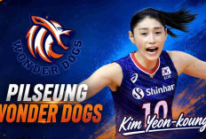 Bukan Lawan Sembarangan, Wonder Dogs Siap Uji Megawati Hangestri dan Hyundai Hillstate