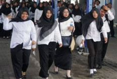 Tenaga Honorer Resmi Dihapus, Solusi Jadi ASN Hanya Melalui Jalur Ini