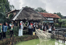 Baru Berjalan Setahun, 'Karo Mamang' Hidupkan Ekonomi Perempuan di Kelurahan Mangunjaya